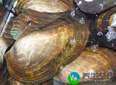 人流后不能吃螃蟹、河蚌、田螺等寒性食物。因人工流产后食物均以温补为上，这些食物不利于恢复健康