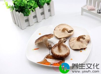 香菇是具有高蛋白、低脂肪、多糖、多种氨基酸和多种维生素的菌类食物