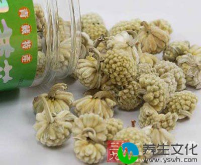 绿萝花食用方法