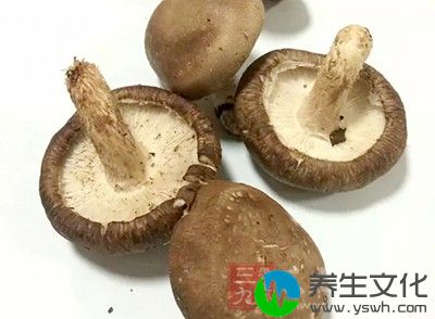 毒蘑菇有哪些特征 毒蘑菇的8大分辨法