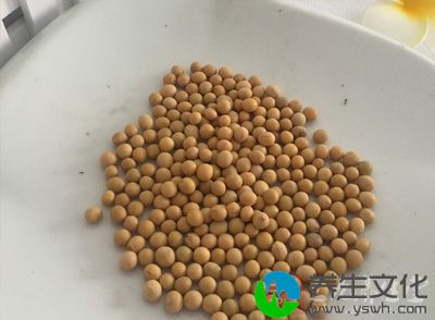 大豆(拣)一升，鸡屎白(捣炒)半升