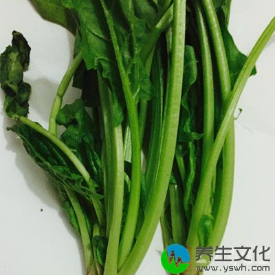 菠菜素有营养模范生之称