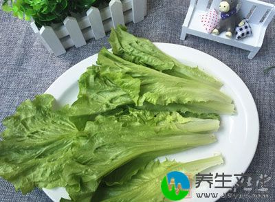 生菜具有清热安神、健胃利胆的作用