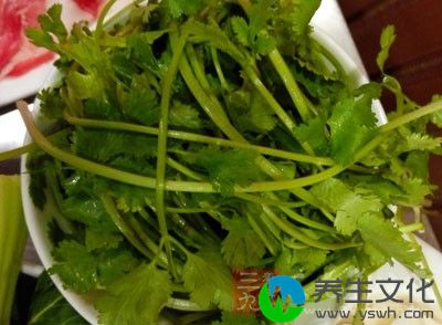 香菜是一种人们经常食用的香料类蔬菜