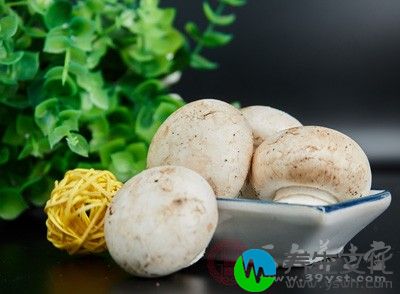 蘑菇是我们日常生活中比较常见的一种食材