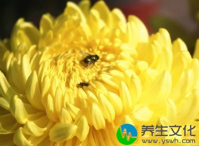 干桂花、菊花、佩兰、竹叶各10克