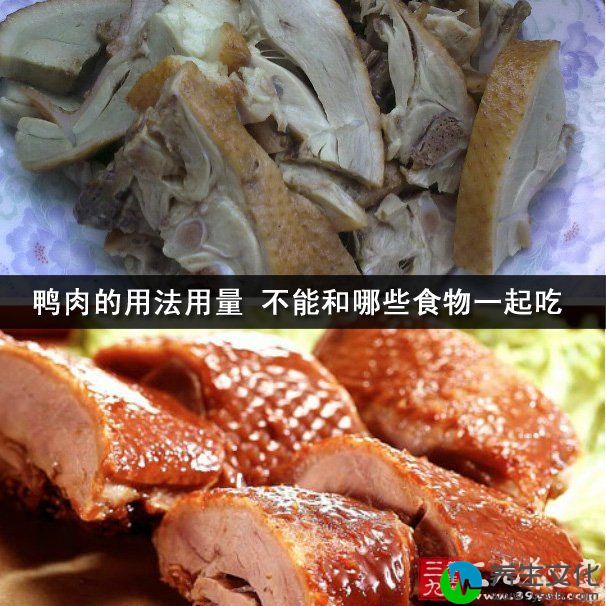 鸭肉的用法用量