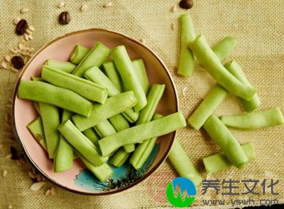 四季豆又称菜豆