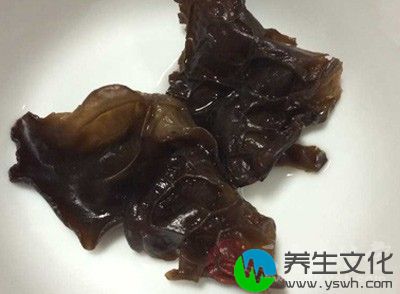 木耳不仅有补肾的作用，对消化道也有一定的好处