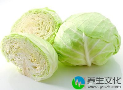 生卷心菜富含维生素C