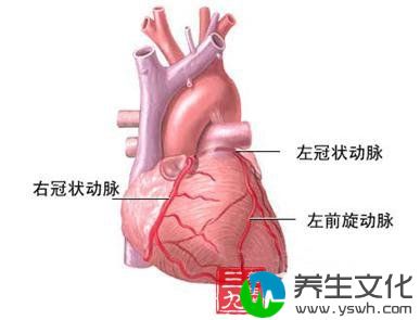 冠状动脉终止异常