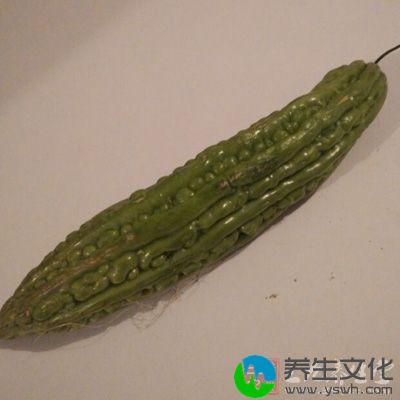 吃饭时适时吃点苦瓜