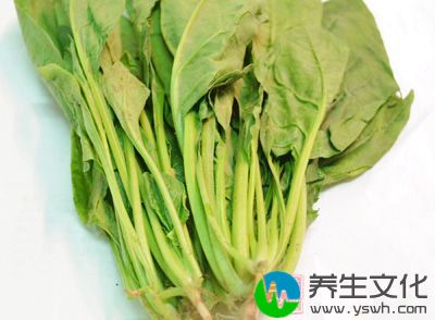 菠菜去头洗净