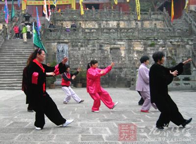 太极拳视频 陈正雷太极拳教学