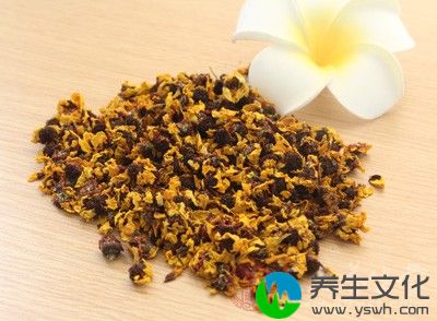 将菊花和普洱茶叶一起放入开水冲泡