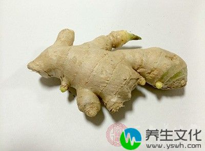 辛辣刺激性调味品、咖喱、胡椒、花椒、芥末、生姜、茴香、八角等食品调料不富含嘌呤