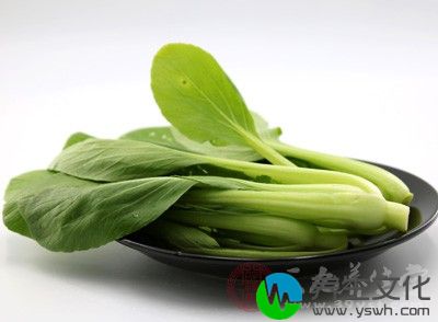 可以吃一些清淡的瘦肉蔬菜稀饭