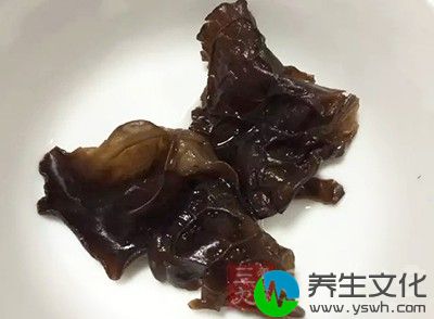 润燥滋补——黑木耳