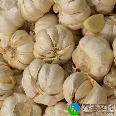 大蒜中特殊的蒜素(allicin)能降低胆固醇的合成