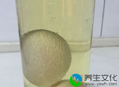 将新鲜的鸡蛋洗净，擦干水分，再浸泡入500ml的醋中