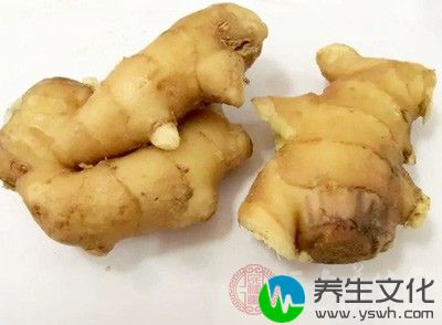 生姜具有解毒杀菌、抑制肉芽组织生成的功效