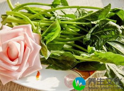 含维生素a的食品大致有菠菜