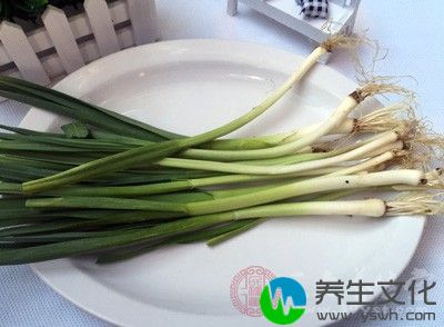 具有明显的降血脂及预防冠心病和动脉硬化的作用