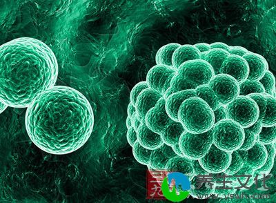 除上述厌氧菌外，还有需氧或兼性厌氧菌存在。近年国外报道嗜肺军团杆菌所致肺炎，约有25%形成脓肿。