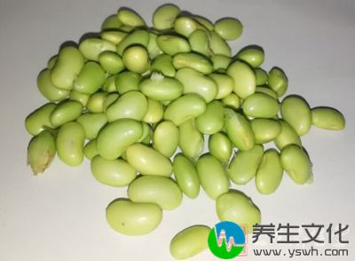 毛豆含有丰富的食物纤维