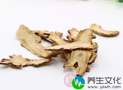 当归具备调经以及活血的功效