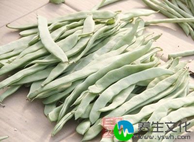 豆角种类多，常见的有四季豆、扁豆、豇豆等