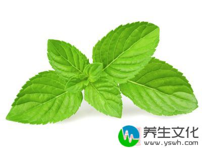 薄荷10克瓜蒌10克