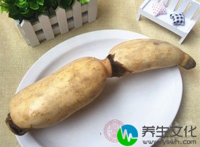 莲藕味甘性凉，能清热生津