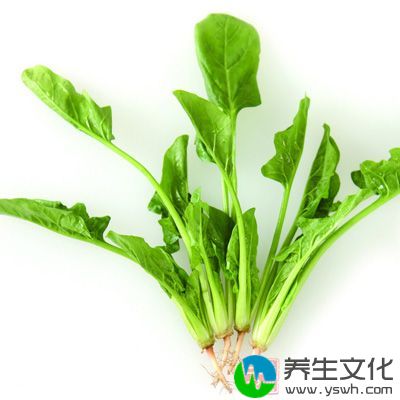 菠菜既是一种美味蔬菜，也是一种美容佳品