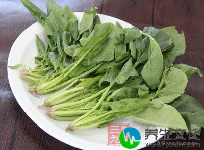 菠菜是生活中常见的补血蔬菜