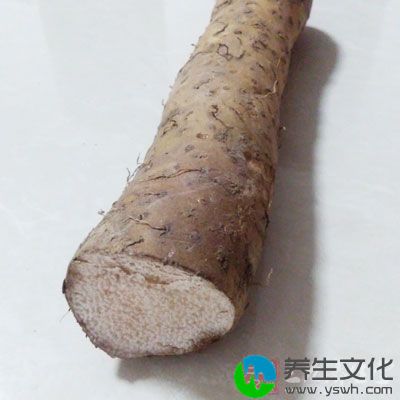 山药皮中所含的皂角素或黏液里含的植物碱