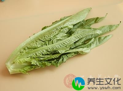 　麻汁油麦菜的做法