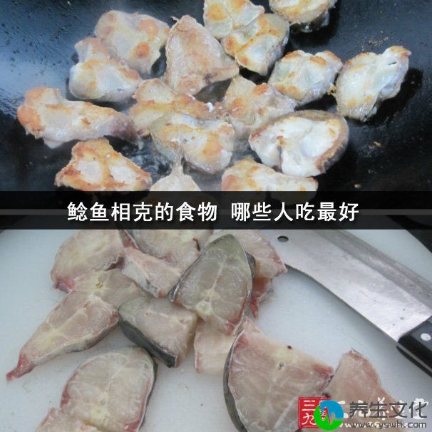 鲶鱼相克的食物