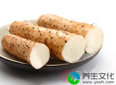 能缓解胃痛的食物有哪些