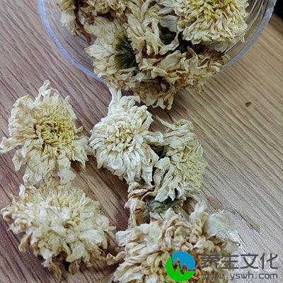 将菊花放进水中煮沸