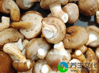 香菇500g