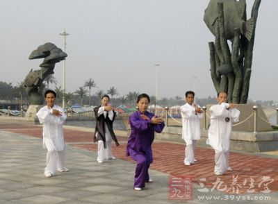 太极拳教程 太极推手的特点及练习技法