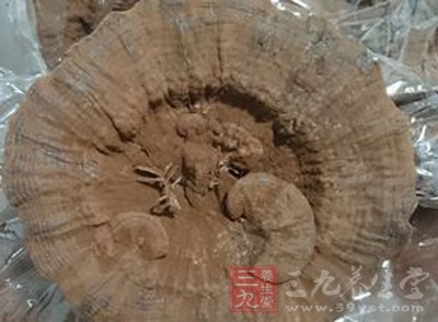 补气益血食疗 推荐补气益血灵芝粥