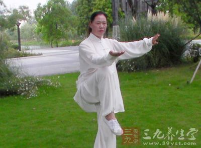 传统太极拳 用现代文解读传统太极拳理论