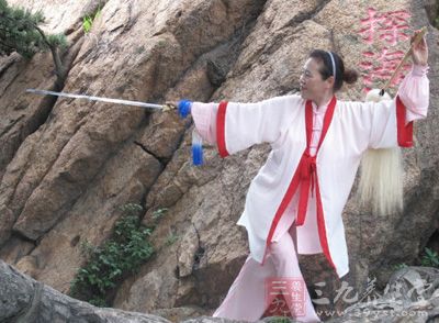 武当太极拳 太极拳108式教程