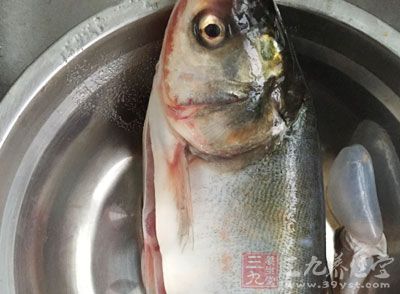 夏季养生食谱 分享九款简单的养生食谱