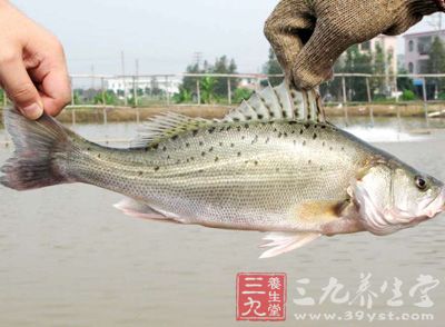 手术后吃什么伤口愈合快 术后调养饮食方