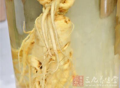 小葫仙历险记之常喝这种粥不当黄脸婆85