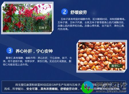 一杯戈宝茶，喝好、睡好、身体好