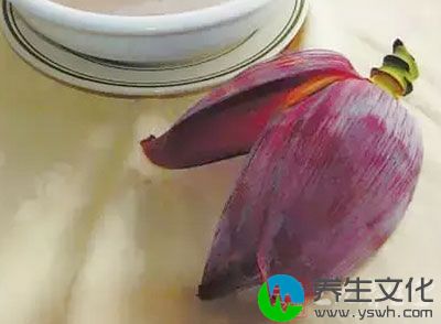 蕉蕾，香蕉或芭蕉的花